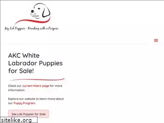 mylabpuppies.com