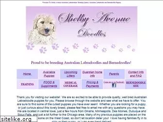 mylabradoodles.com