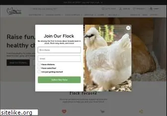 mypetchicken.com