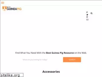 mypetguineapig.com