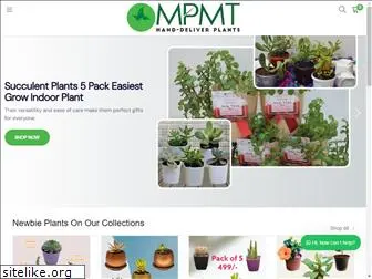 myplantmytaste.com