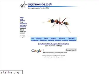 myrmecos.net