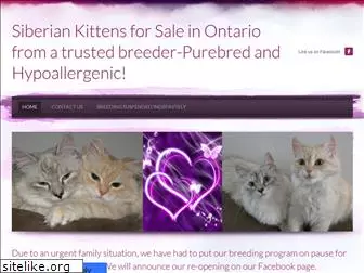 mysiberiankitten.com