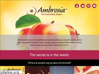 mysweetambrosia.com