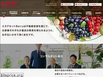 n-asset-berry.com