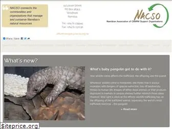 nacso.org.na thumbnail