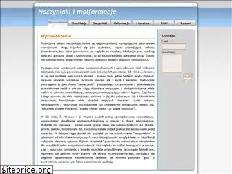 naczyniaki.com