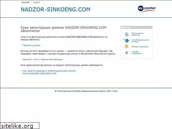 nadzor-sinkoeng.com