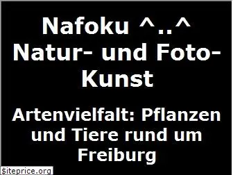 nafoku.de