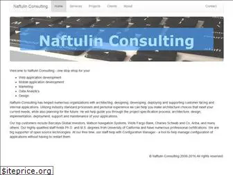 naftulinconsulting.com