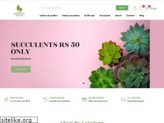 nainitalsucculents.com