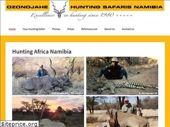 namibiahuntingsafaris.com