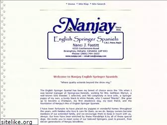nanjay.com