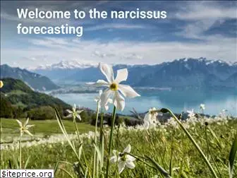 narcisses.com