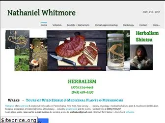 nathanielwhitmore.com