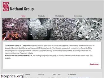 nathanisteel.com