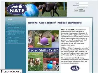 nationaltreibball.com