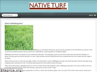 nativeturf.com