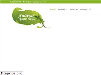 naturalgingercorp.com