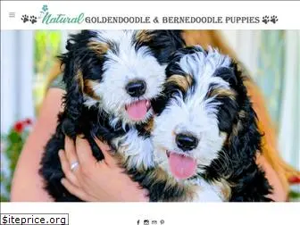 naturalgoldendoodle.com