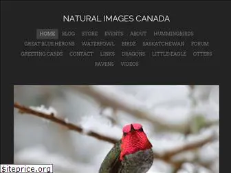 naturalimagescanada.ca