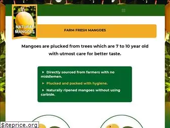 naturalmangoes.in