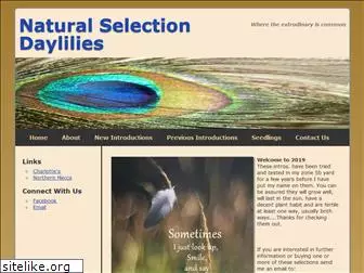 naturalselectiondaylilies.com