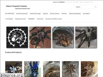 naturesexquisitecreatures.com