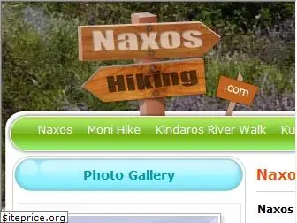 naxoshiking.com
