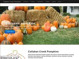 nebraskapumpkins.com