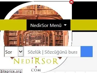 nedirsor.com