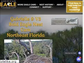 nefleaglecam.org