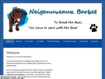 neigenuveaux.com