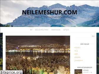 neilemeshur.com