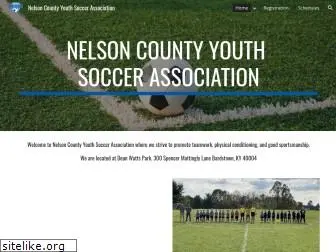 nelsoncountysoccerclub.com