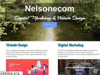 nelsonecom.com