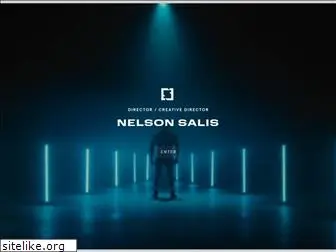 nelsonsalis.com