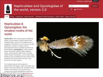 nepticuloidea.info