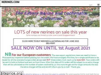 nerines.com