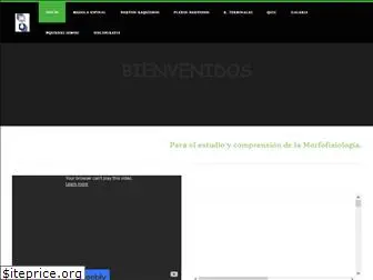 nerviosraquideo1.weebly.com