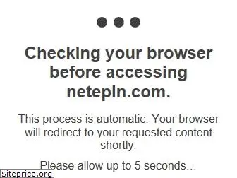netepin.com