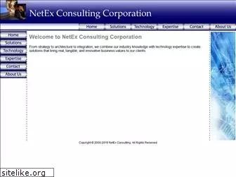 netexconsulting.com