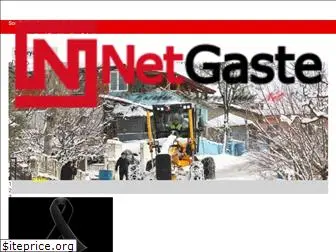 netgaste.com