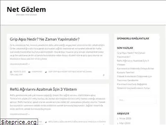 netgozlem.com