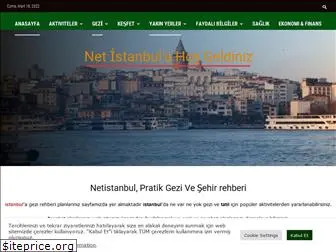 netistanbul.com