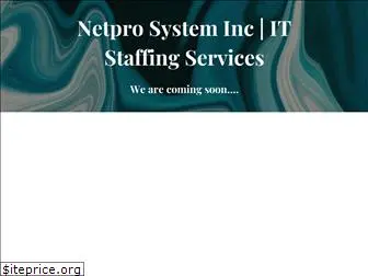 netprosystem.com