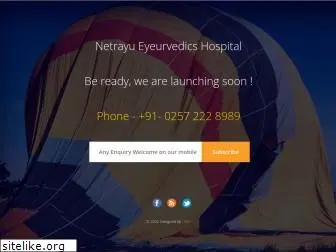 netrayu.com