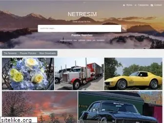 netresim.com