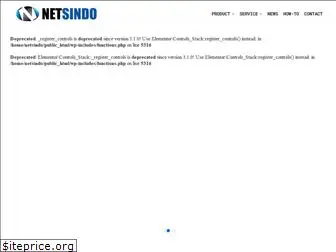 netsindo.com