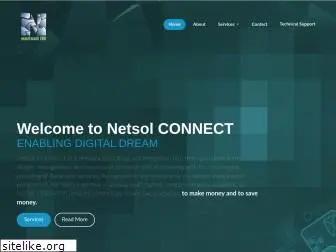 netsolir.com